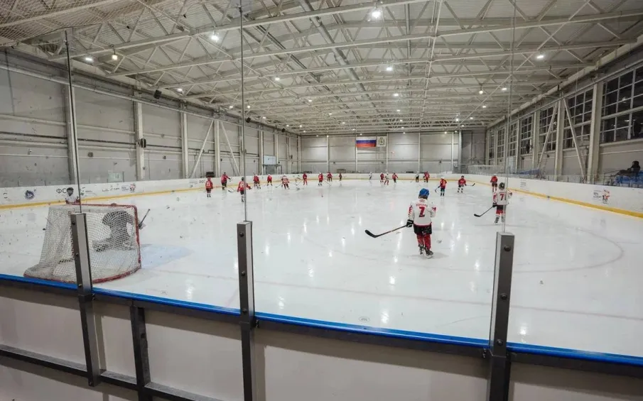 Почти 80 объектов спорта уже подключены к Единому агрегатору физкультурно-спортивных организаций Нижегородской области